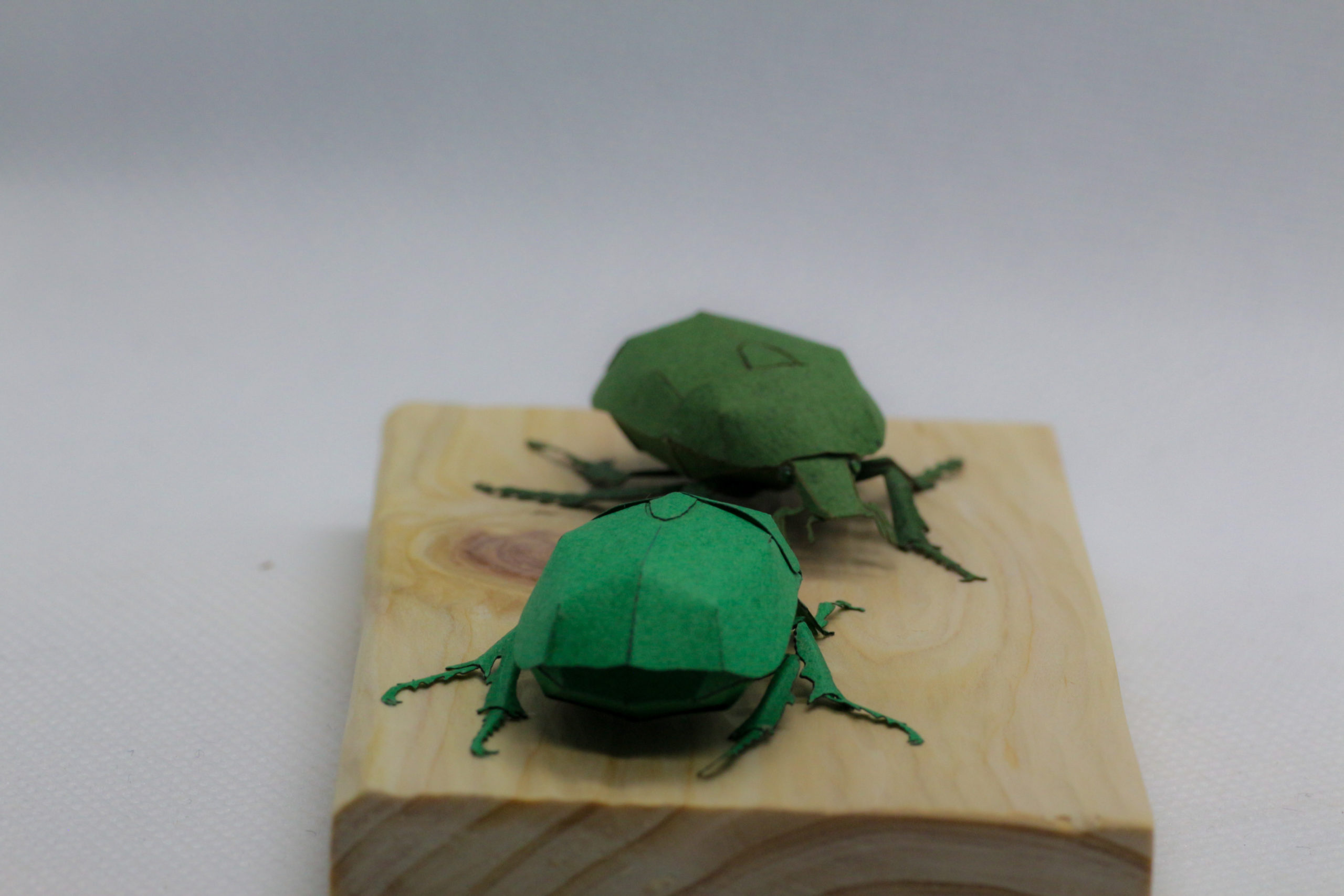 カナブン　ペーパークラフト＃8