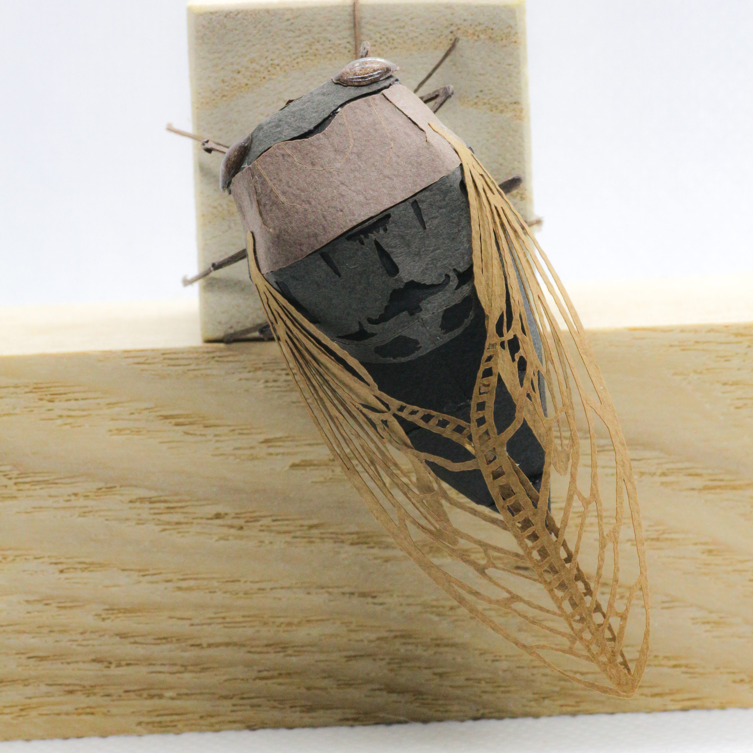 アブラゼミ　ペーパークラフト＃12