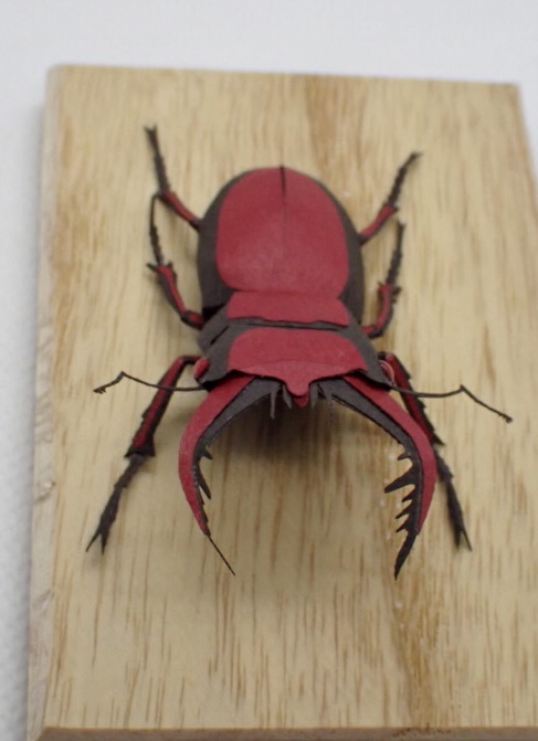 ノコギリクワガタ　2色ヴァージョン　＃２０