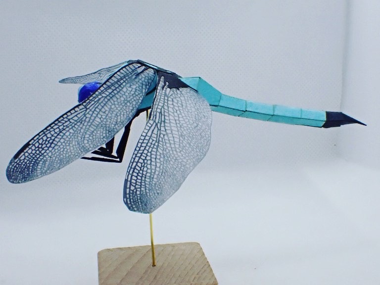 オオシオカラトンボ　＃２１