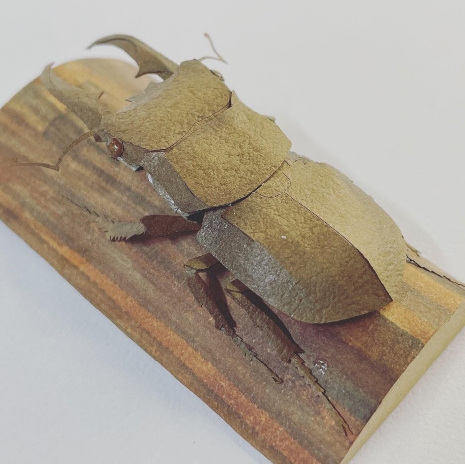 ヒラタクワガタ　＃２２