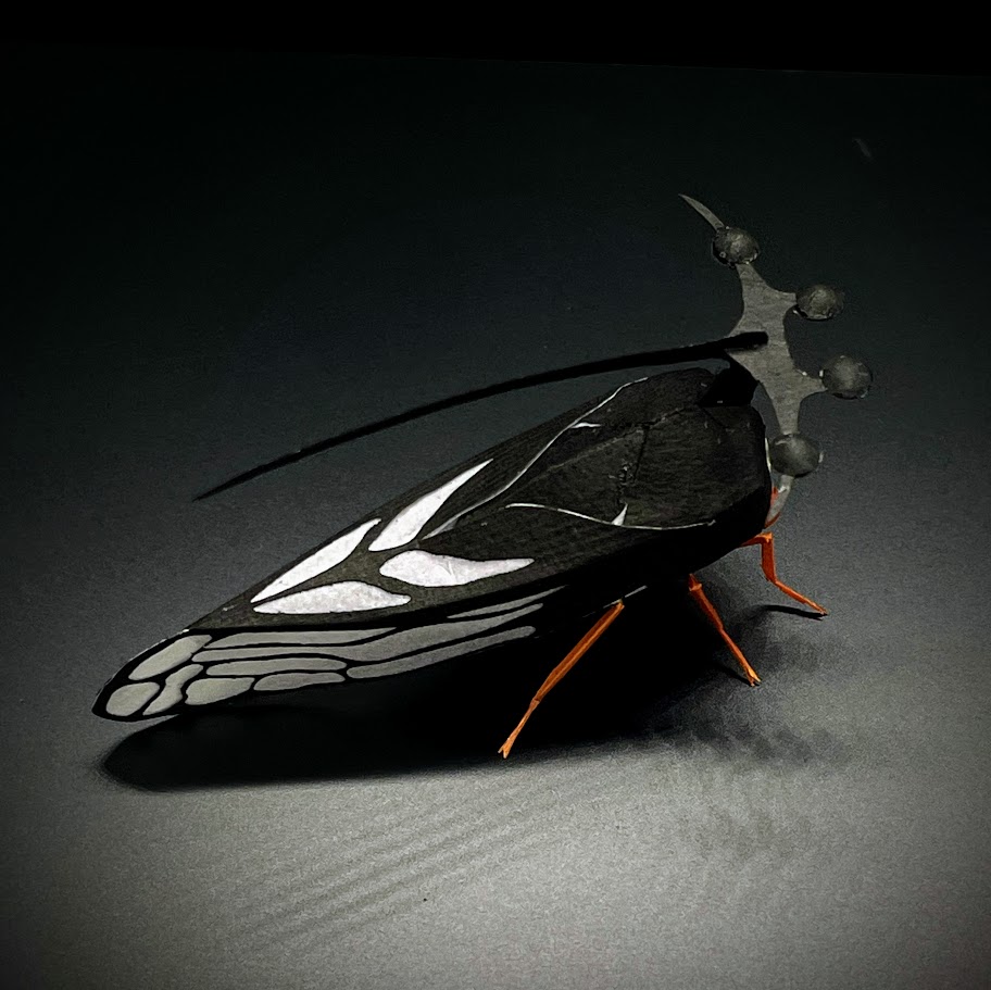 ヨツコブツノゼミ　ペーパークラフト＃30