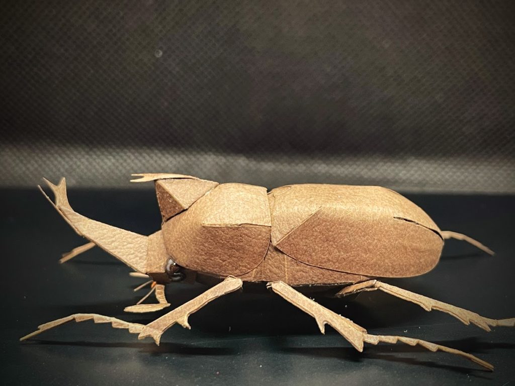 カブトムシ　#31　ペーパークラフト