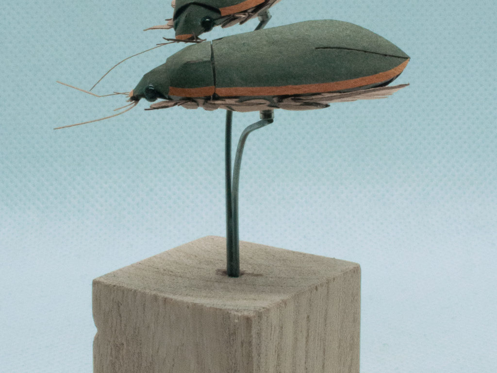 ゲンゴロウ　ペーパークラフト＃３３