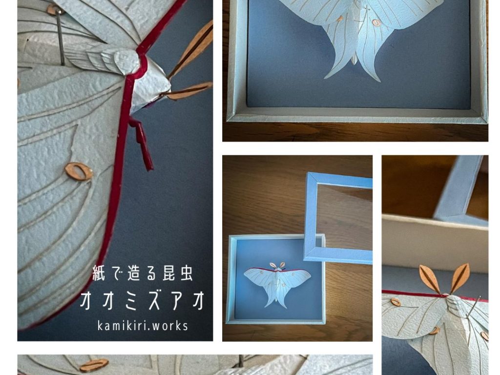 オオミズアオ　ペーパークラフト＃34